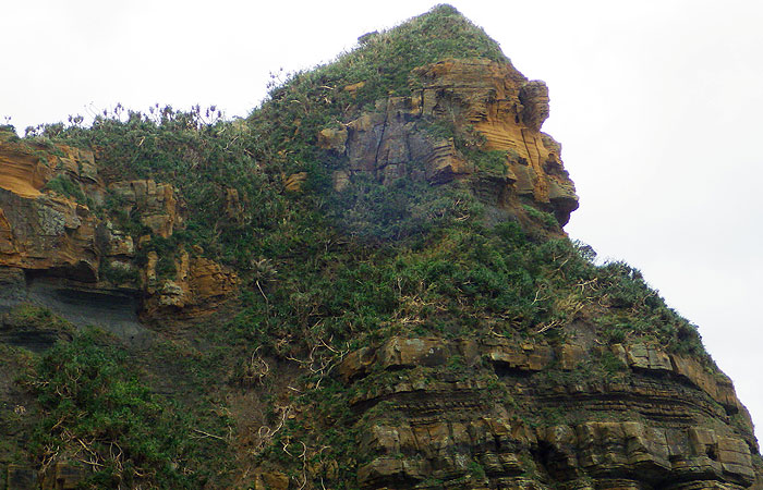 西表島　ゴリラの岩