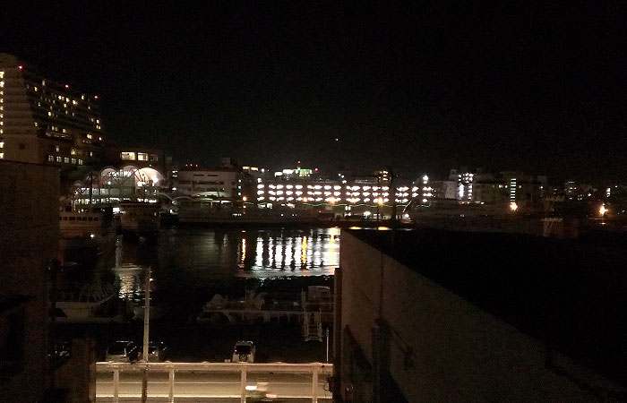 泊港の夜景