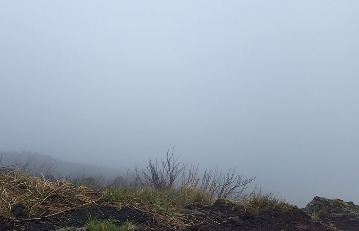 霧の三原山